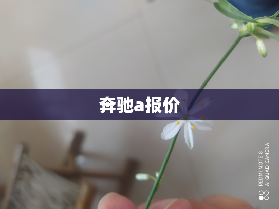 奔驰a报价