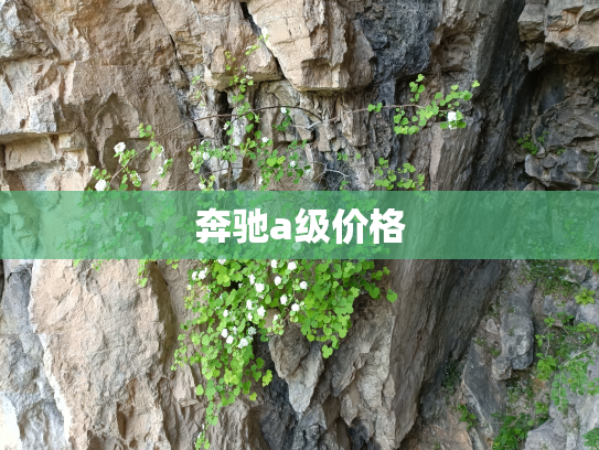 奔驰a级价格