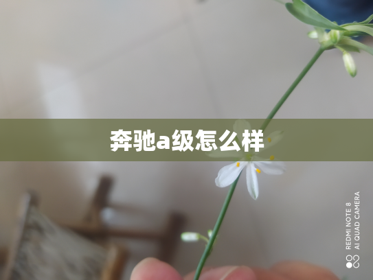 奔驰a级怎么样