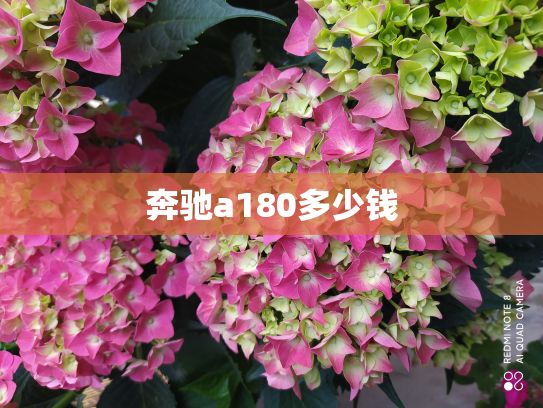 奔驰a180多少钱