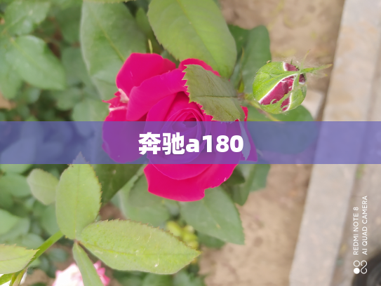 奔驰a180
