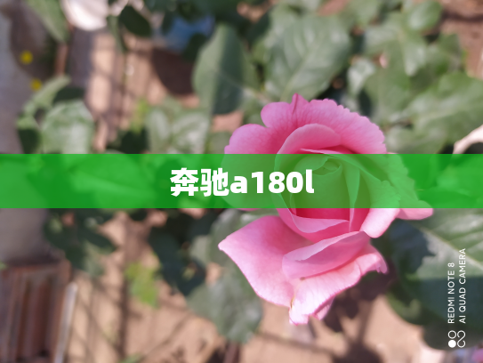 奔驰a180l