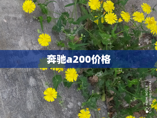 奔驰a200价格
