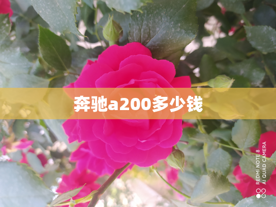 奔驰a200多少钱