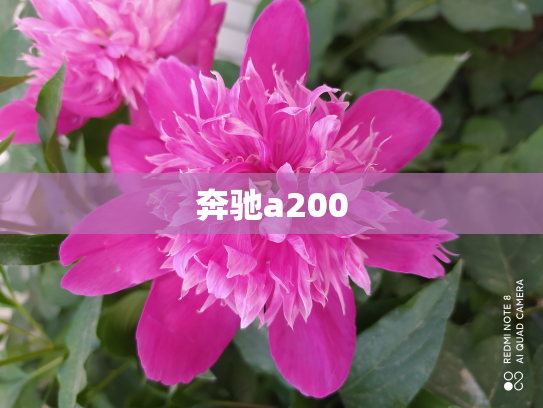 奔驰a200