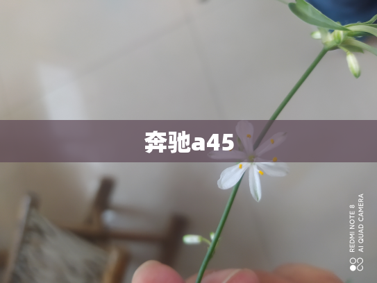 奔驰a45
