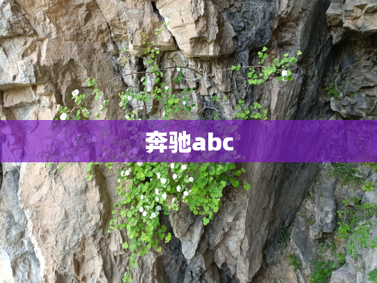 奔驰abc
