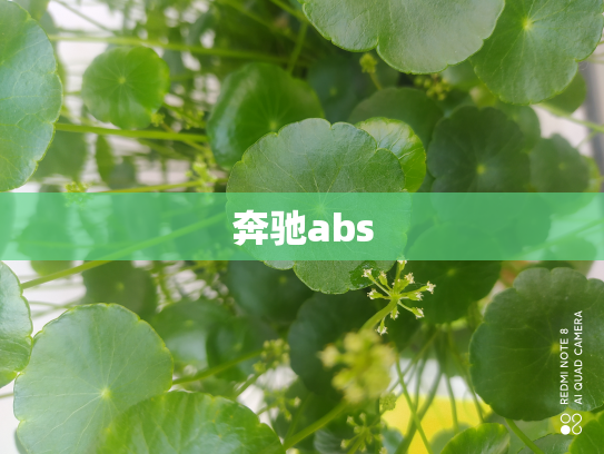 奔驰abs