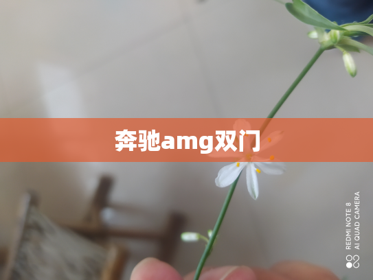 奔驰amg双门