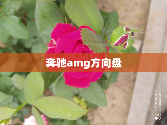 奔驰amg方向盘