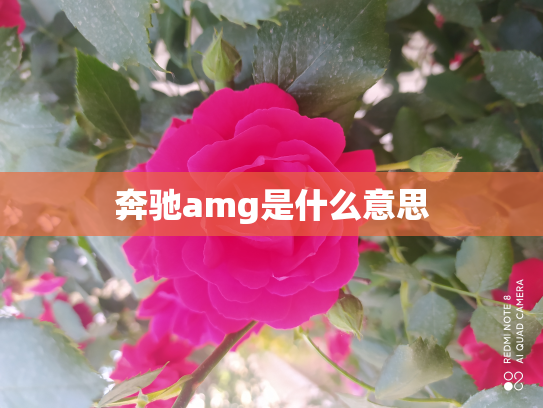 奔驰amg是什么意思
