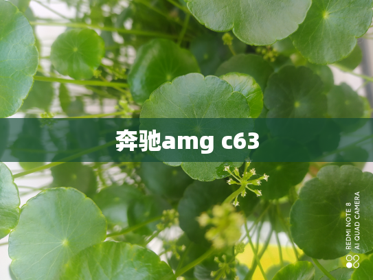 奔驰amg c63
