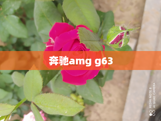 奔驰amg g63