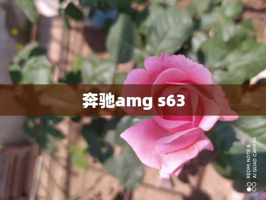 奔驰amg s63