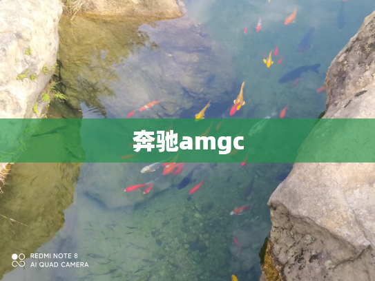 奔驰amgc