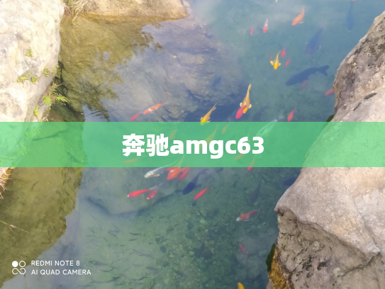 奔驰amgc63