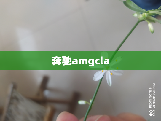 奔驰amgcla