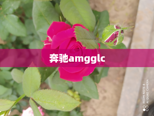 奔驰amgglc