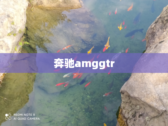 奔驰amggtr