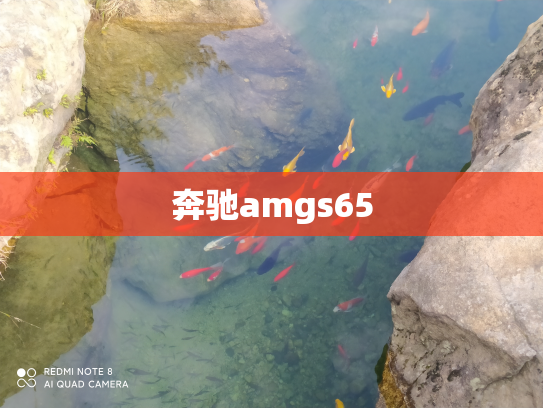 奔驰amgs65