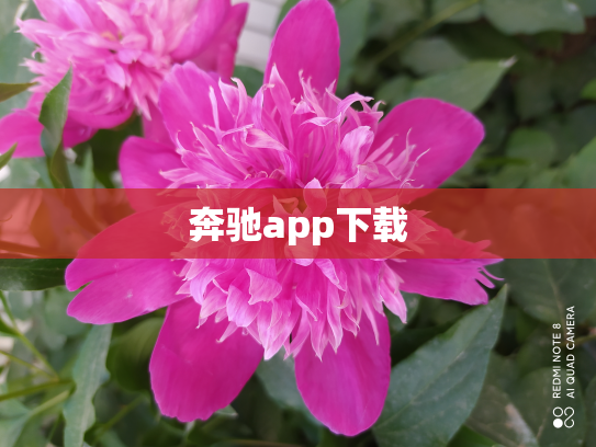 奔驰app下载