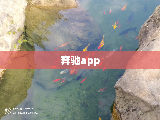 奔驰app