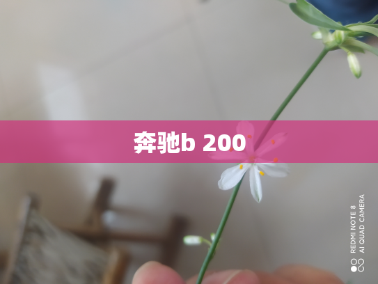 奔驰b 200