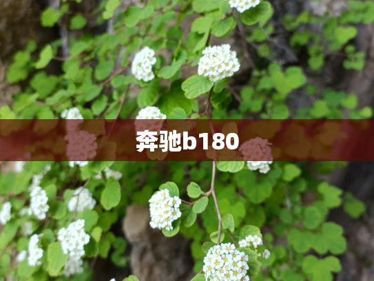 奔驰b180