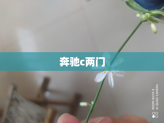 奔驰c两门
