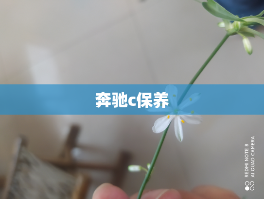 奔驰c保养