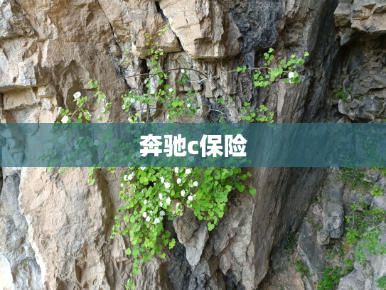 奔驰c保险