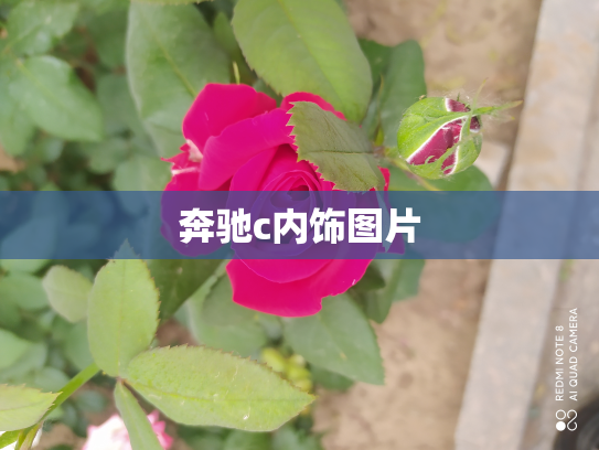 奔驰c内饰图片