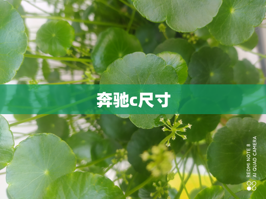 奔驰c尺寸