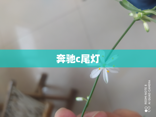 奔驰c尾灯