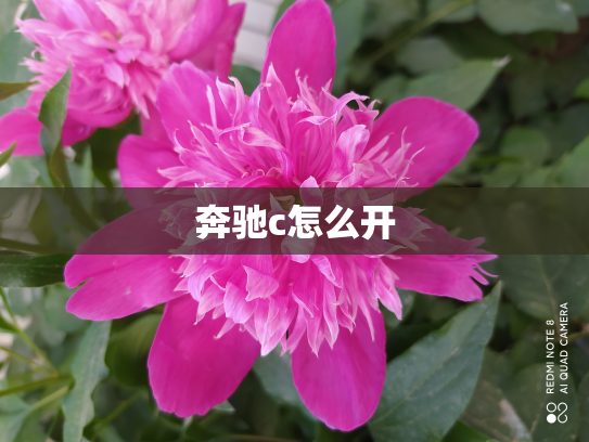 奔驰c怎么开