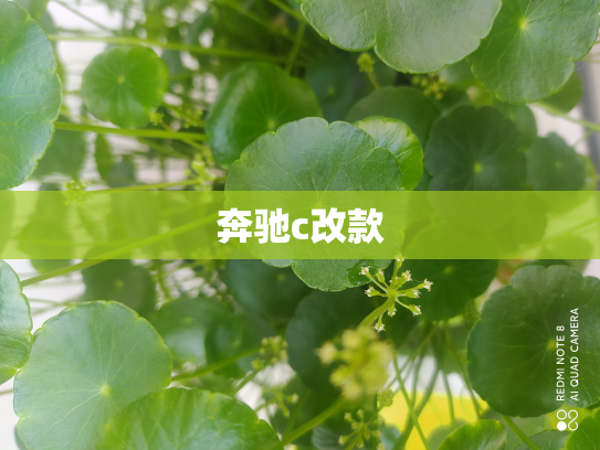 奔驰c改款