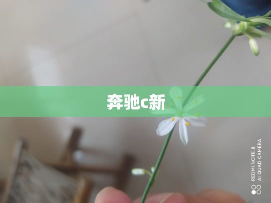 奔驰c新