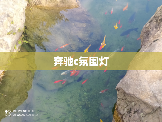 奔驰c氛围灯