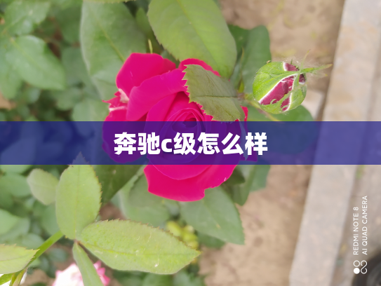 奔驰c级怎么样