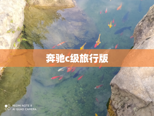 奔驰c级旅行版