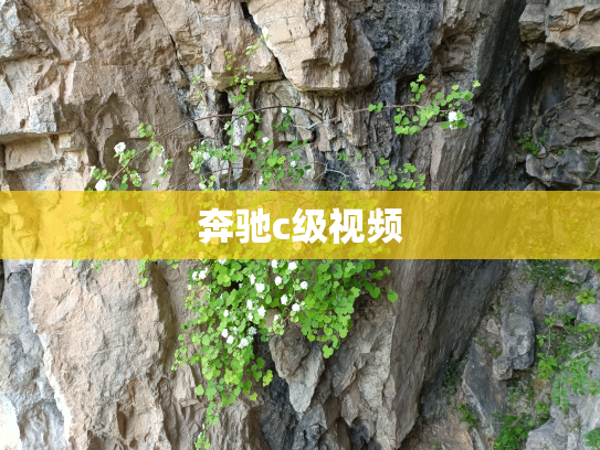 奔驰c级视频