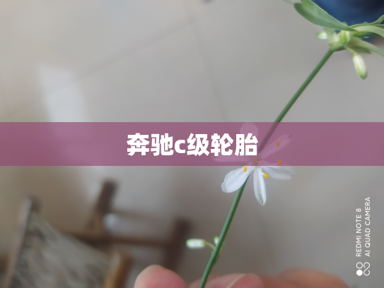 奔驰c级轮胎