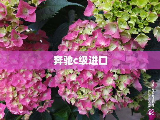 奔驰c级进口