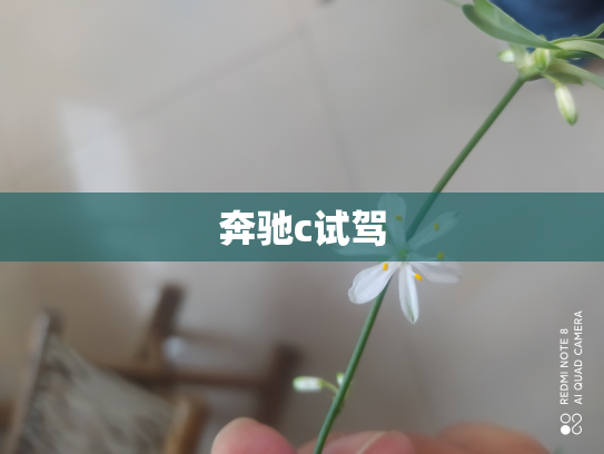 奔驰c试驾