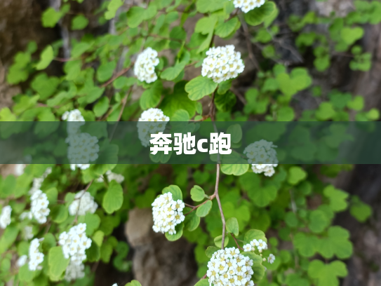 奔驰c跑