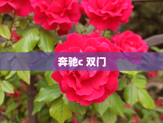 奔驰c 双门