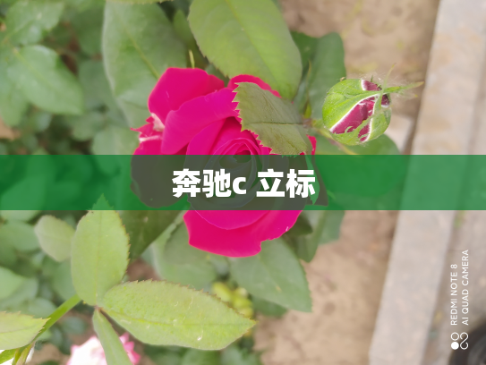 奔驰c 立标