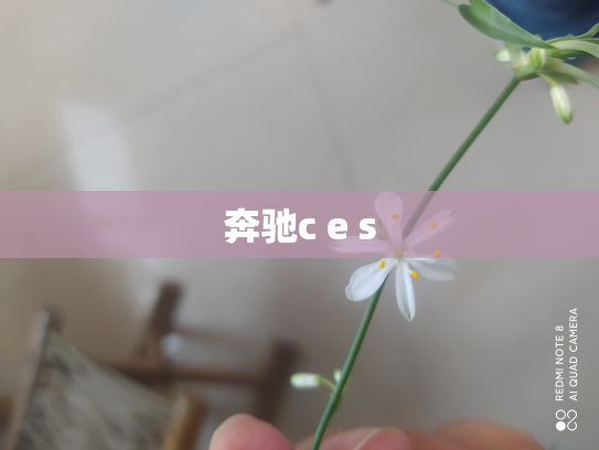 奔驰c e s