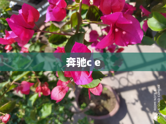 奔驰c e