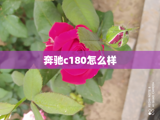 奔驰c180怎么样